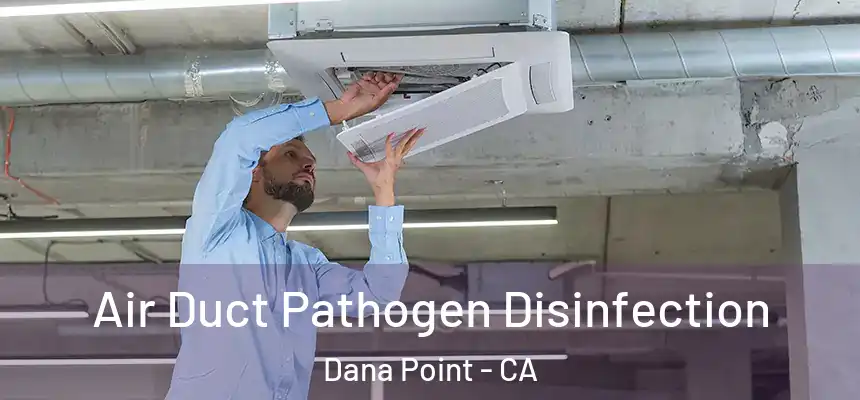  Air Duct Pathogen Disinfection Dana Point - CA