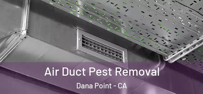 Air Duct Pest Removal Dana Point - CA