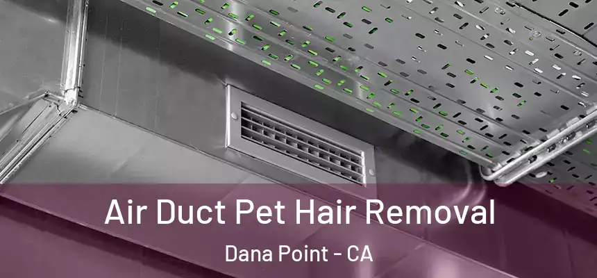 Air Duct Pet Hair Removal Dana Point - CA