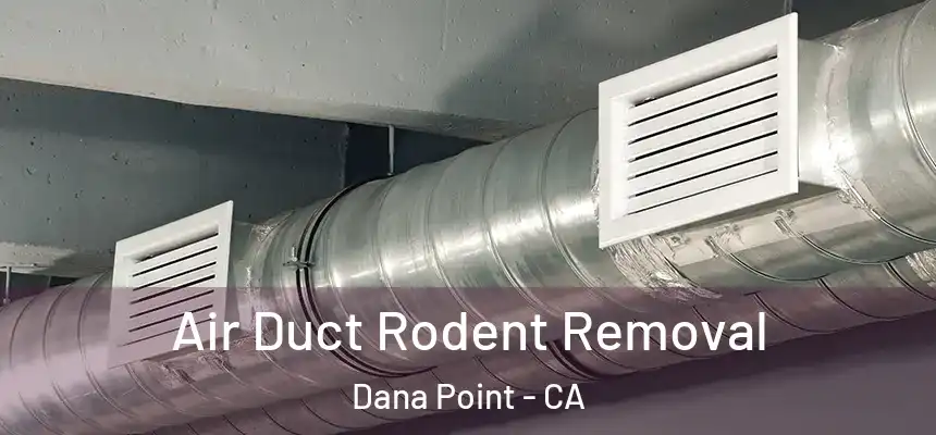 Air Duct Rodent Removal Dana Point - CA