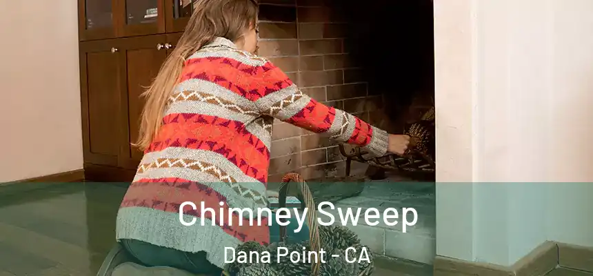  Chimney Sweep Dana Point - CA
