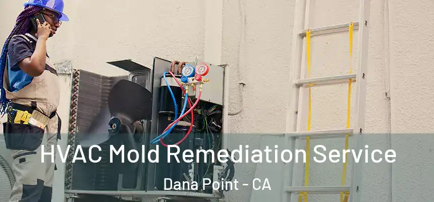  HVAC Mold Remediation Service Dana Point - CA