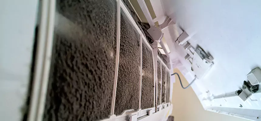 Preventive Air Duct Bacteria Removal in Dana Point