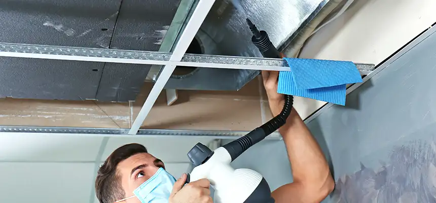 Our Air Duct Rodent Removal Services in Dana Point, CA