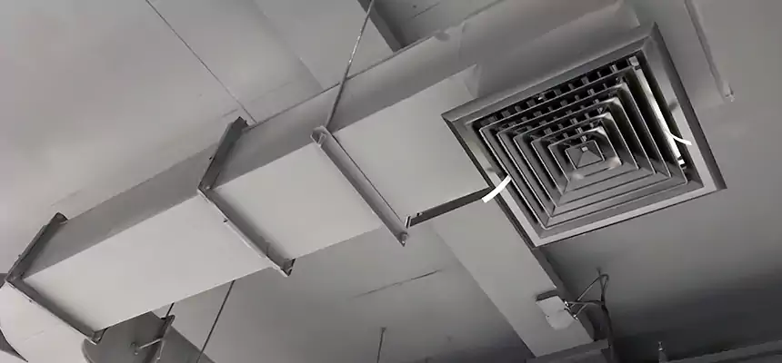 Restorative Allergy Relief Vent Cleaning – Coil, Blower & Housing Detail in Dana Point