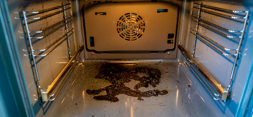 Our Dryer Vent Mold Cleaning Services in Dana Point, CA