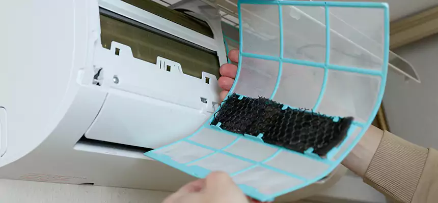 Gentle Ductwork Odor-Control Pet Dander Duct Cleaning in Dana Point, CA