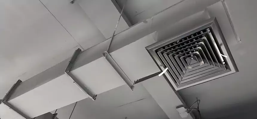 Our Rodent Droppings In Vents Services in Dana Point, CA