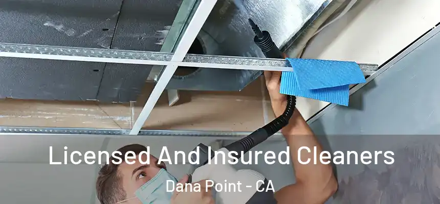 Licensed And Insured Cleaners Dana Point - CA