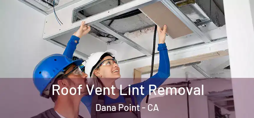 Roof Vent Lint Removal Dana Point - CA