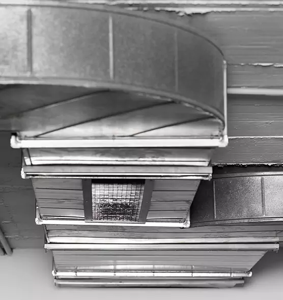 Professional Air Duct Pest Removal in Dana Point, CA