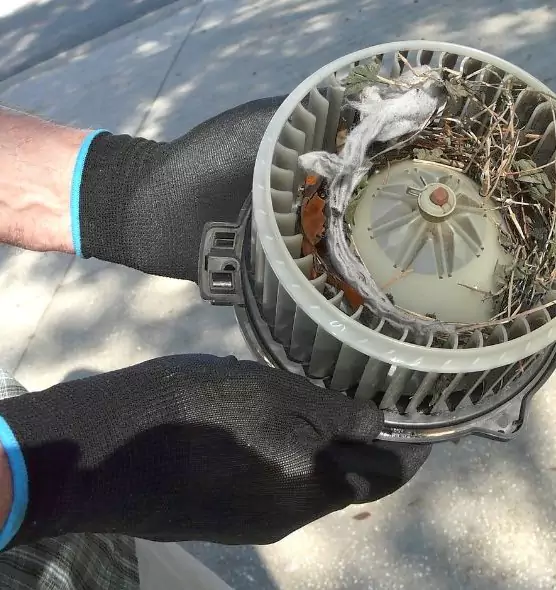 About Air Duct Rat Removal in Dana Point, CA