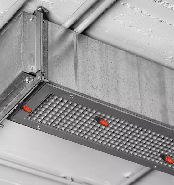 Affordable Insect Removal from Air Ducts in Dana Point, CA