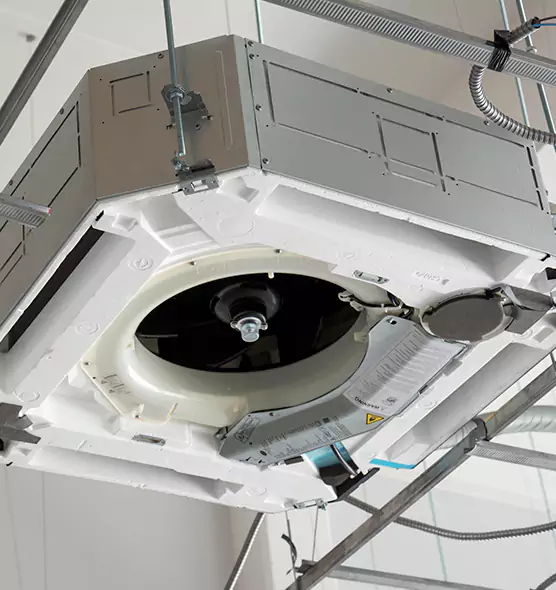 Professional Roof Vent Lint Removal Dana Point, CA