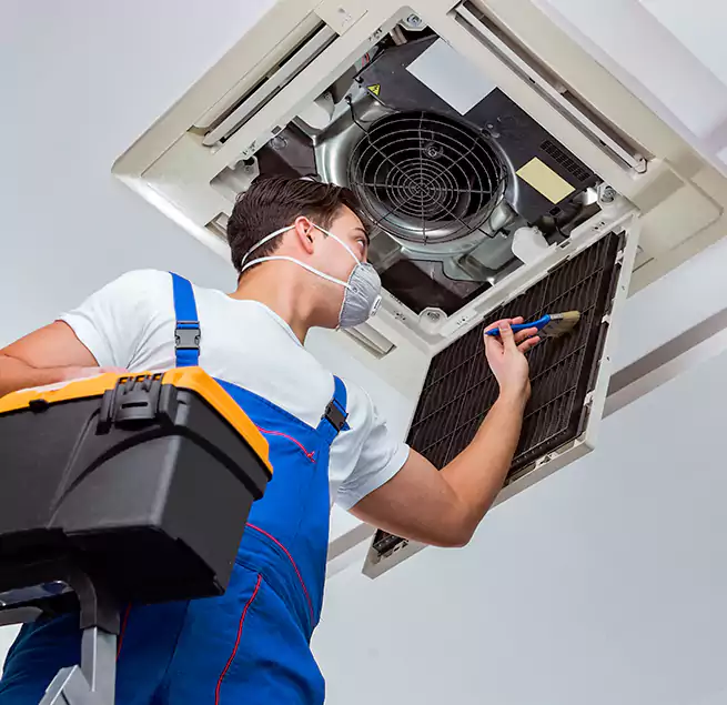 Why Homeowners & Businesses Trust Us in Dana Point, CA