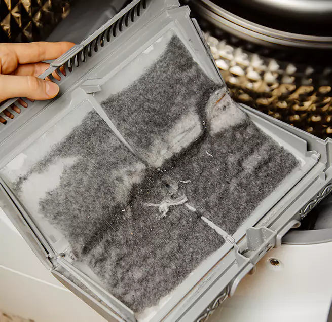 Why Homeowners & Businesses Trust Us Dana Point, CA?