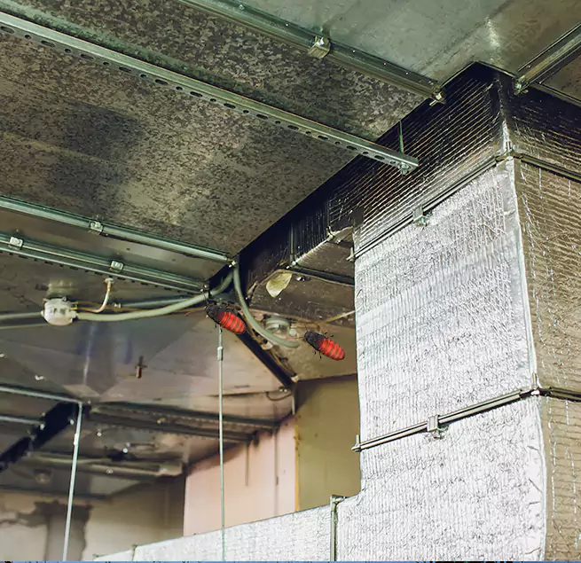 Why Homeowners & Businesses Trust Us Dana Point, CA?