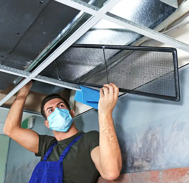 Why Homeowners & Businesses Trust Us in Dana Point, CA?